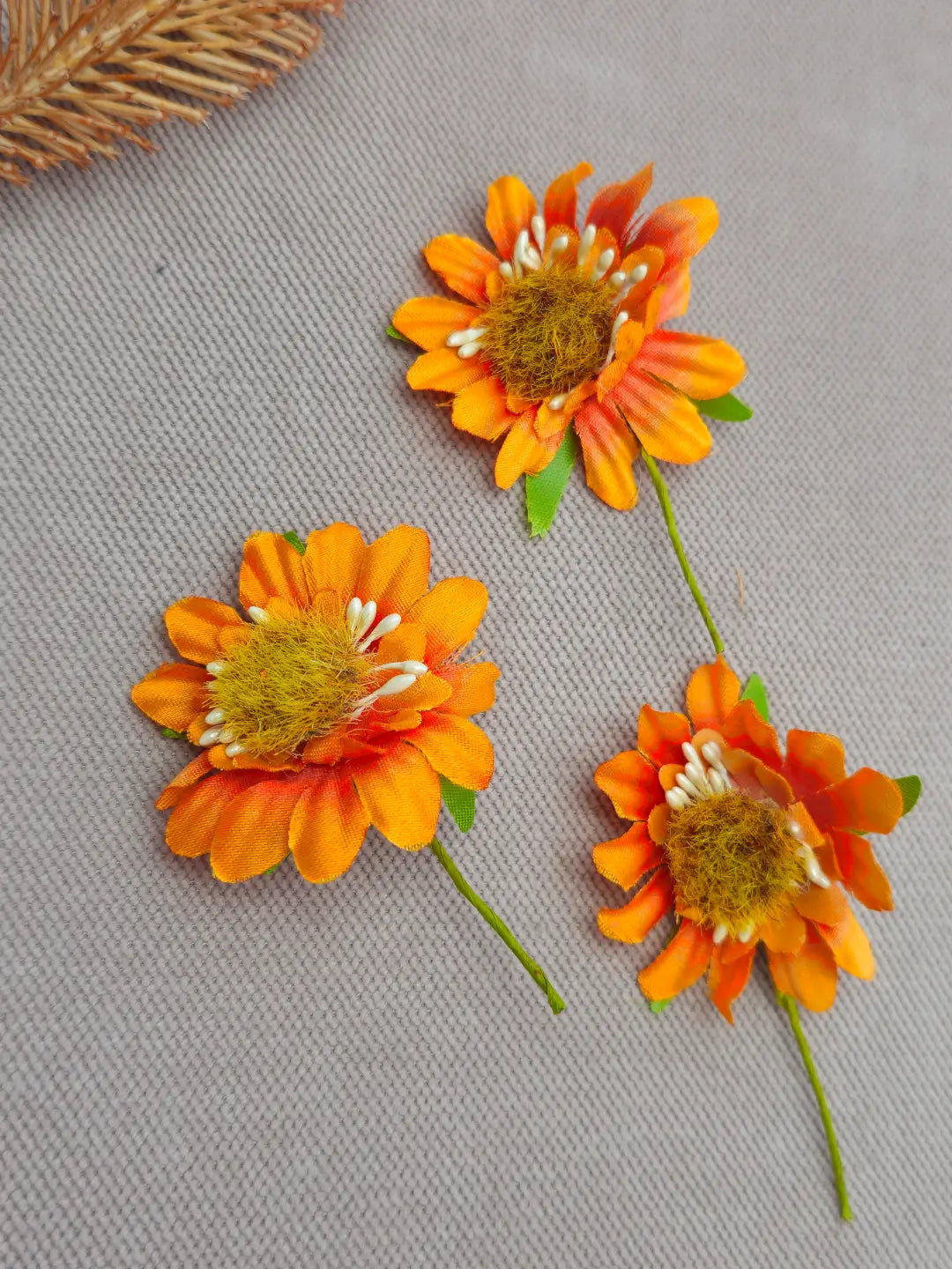 Pastel Orange