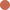 Color Image