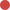 Color Image