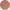 Color Image
