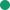 Color Image