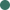 Color Image