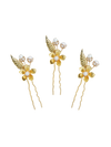 Golden