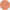 Color Image