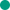 Color Image