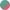 Color Image