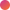 Color Image