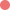 Color Image