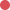 Color Image