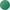 Color Image