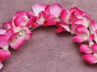 Pink Blossom Gajra