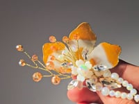  Pale Orange