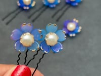 Warm Blue 