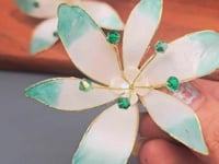 Caribbean Green