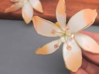 Pale Orange