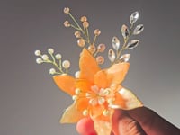Pastel Orange