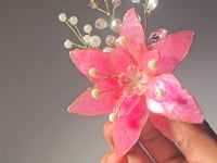 Pastel Magenta
