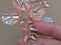 Dusky Peach 