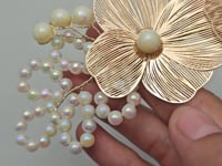 Blush Ivory